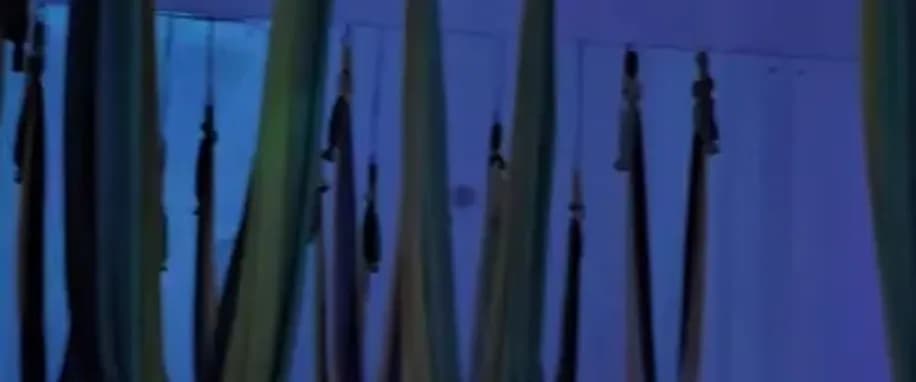 gallery slide